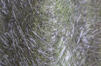 Cefn Cross fibreglass roof work